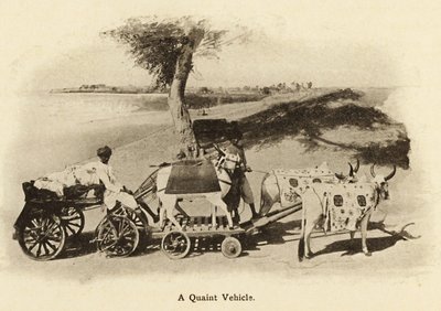 Een eigenaardig voertuig. Zulke ossenwagens zijn nu verloren in de oudheid (begin 1900) door Unbekannter Künstler