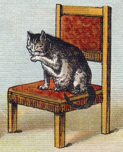 Een kat op een stoel. Gravure in "Alfabet van mijn kleine meisje". Bernardin-Bechet en Fils, boekhandel-uitgevers, Parijs, circa 1895. door Unbekannt