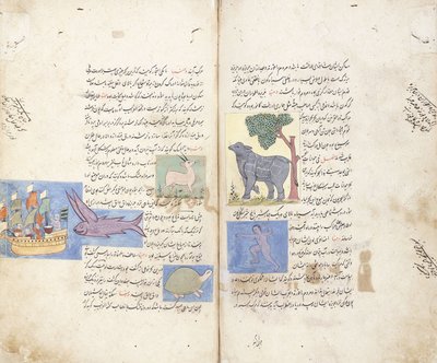 Een pagina uit het Perzische manuscript "Aja