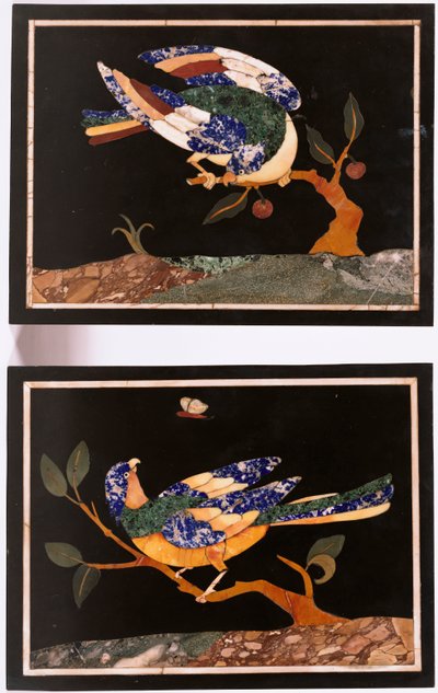 Een paar Florentijnse pietra dura panelen die vogels afbeelden door Unbekannt