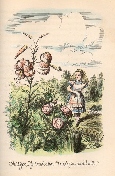 Alice in Wonderland & Through the Looking Glass, door Lewis Carroll, geïllustreerd door John Tenniel door Unbekannt
