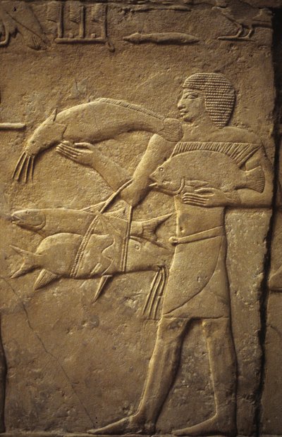 Oud Egypte: Saqqarah (of Saqqara of Sakkarah): necropolis van het Oude Rijk, graf van edele. Detail van reliëfs die een visser voorstellen door Leopold Blonder