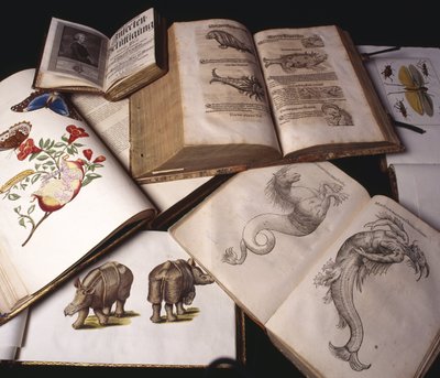 Oude Zoologieboeken door Unbekannt