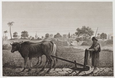 Akkerbouw, Ploegen Ploegen met ossen, Egypte, ca. 1798 door Unbekannt