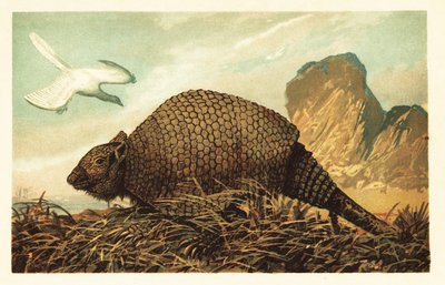 Archaeopteryx lithographica en Panochthus tuberculatus. 1908 (lithografie) door Unbekannter Künstler
