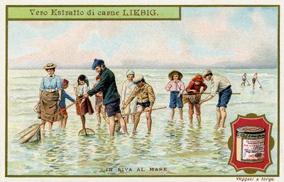 Aan de kust: Vissen met netten door Unbekannter Künstler