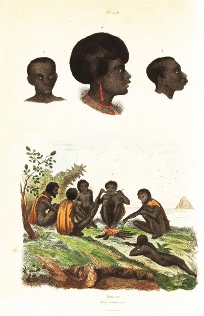 Australische Aboriginals en hoofden van inboorlingen van Waigeo, West-Papoea door Unbekannter Künstler