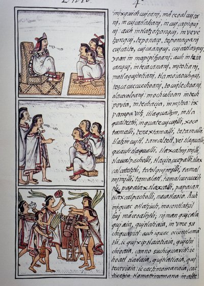 Azteekse samenleving, Boek IV van Florentijnse Codex, tweetalige versie in Spaans en Nahuatl, Algemene Geschiedenis van de Dingen van Nieuw-Spanje (Historia general de las cosas de Nueva Espana), Azteekse beschaving door Benjamin Baud