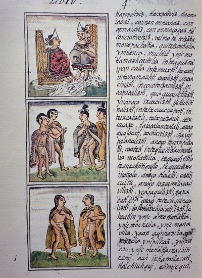Azteekse samenleving, Boek IV van de Florentijnse Codex, Tweetalige versie in Spaans en Nahuatl, Algemene Geschiedenis van de Dingen van Nieuw-Spanje door William M. Timlin