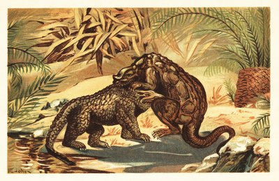 Gevecht tussen een Megalosaurus bucklandii en Iguanodon bernissar door Unbekannter Künstler
