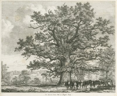 Blithfield - Squitch-bank Eik door Unbekannt