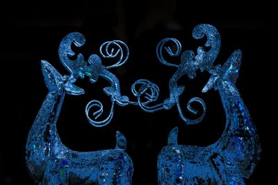 Blauwe Rendier, 2017 door Unbekannter Künstler