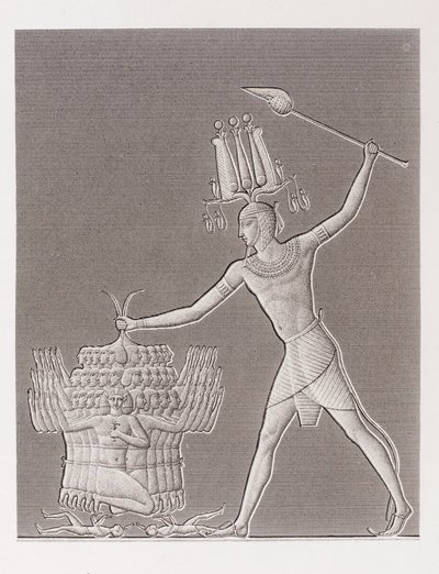 Boek: Beschrijving van Egypte door Unbekannt