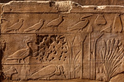 Botanische tuin van Thutmosis III met reliëfafbeeldingen van planten en dieren, Karnaktempel, Luxor, Thebe, Egypte, Afrika door Unbekannter Künstler
