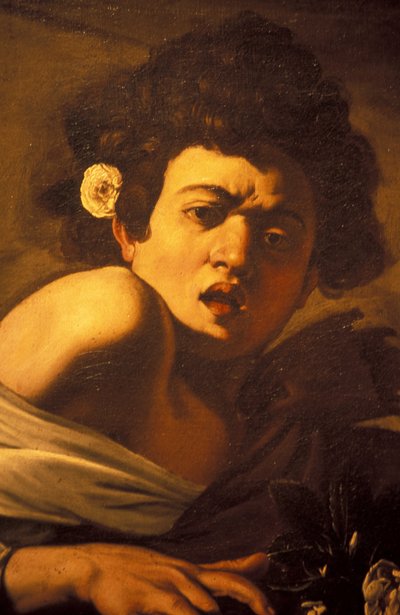 Jongen gebeten door een hagedis (detail) door Unbekannt