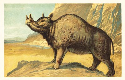 Brontops robustus of Megacerops robustus. 1908 (lithografie) door Unbekannter Künstler