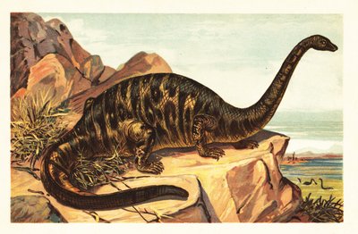 Brontosaurus excelsus, uitgestorven soort van gigantische viervoeter door Unbekannter Künstler