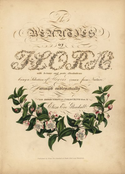 Kalligrafische titelpagina met botanische vignet door Unbekannt