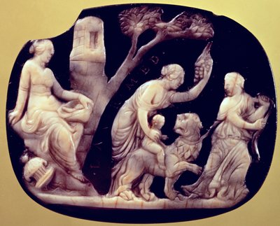 Camee van de jeugd van Dionysus door Unbekannt