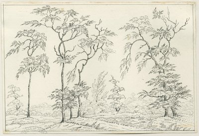 Cannock Chase: pen en potloodtekening, nd [?19e eeuw] door Unbekannt