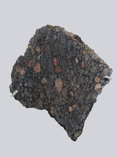 Carbonee chondriet (CBA). Gevallen in Gujba (Nigeria) in 1984. Nationaal Natuurhistorisch Museum, Parijs door Unbekannt