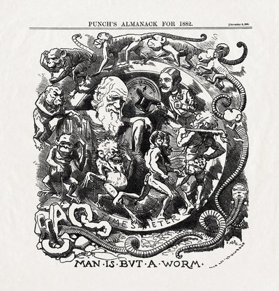 Cartoon over de evolutietheorie van Charles Darwin: "Man is but a worm" uit "Punch", 06/12/1881 door Unbekannter Künstler