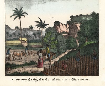 Chamarro boeren ploegen een veld en snijden rijen plantages in de Marianenarchipel (VS). Illustratie uit Voyage Around the World (1824) door Louis de Freycinet (1779-1842). Lithografie voor het boek: “Galerie complete en tableaux fideles des peuples d