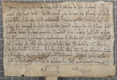 Charter van Walter, Prior van St Andrews door Unbekannt
