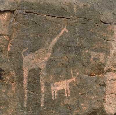 Close-up van prehistorische schilderingen, Tenere Woestijn, Niger door Benjamin Baud