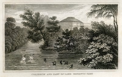 Colosseum en meer, Regent