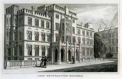 Cornwall Terrace door Unbekannt