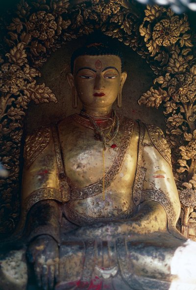 Crypte met Boeddhabeeld, Swayambhunath (Apen Tempel), Kathmandu-vallei (Unesco Werelderfgoedlijst) door William M. Timlin