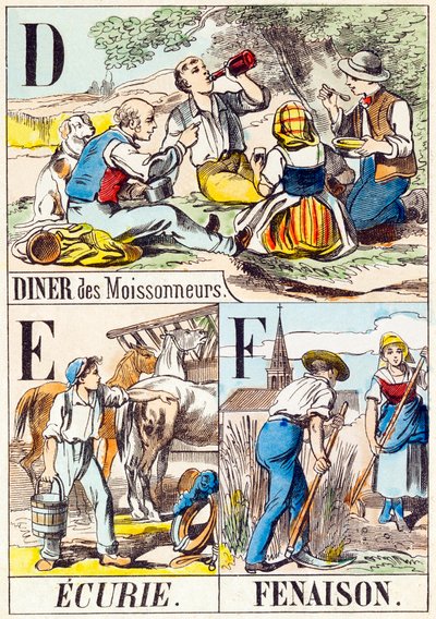 D E F : Diner van de maaiers, Stal, Hooien - "Alfabet van de boerderij" eind 19e eeuw (gravure) door Unbekannt