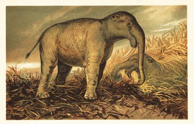 Deinotherium giganteum, grote prehistorische verwant van de moderne olifant, 1908 door Unbekannter Künstler