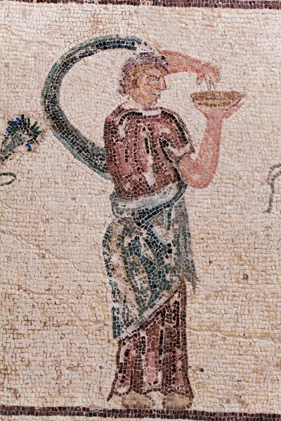 Detail van De Triomf van Dionysos - Terugkeer van de god van een militaire expeditie naar India - Een Bacchante met een offerkom - Paphos mozaïeken, Huis van Dionysos, Eind 2e eeuw na Christus - Cyprus - De triomf van Dionysos - Lang mozaïek dat de tri door William M. Timlin