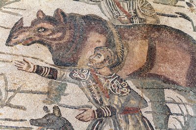 Detail van het mozaïek van de grote jacht. Een neushoorn wordt op een boot geleid om naar de dichtstbijzijnde haven te worden vervoerd. 3e - 4e eeuw. Romeinse Villa van de Casale, Sicilië. UNESCO-site. door William M. Timlin