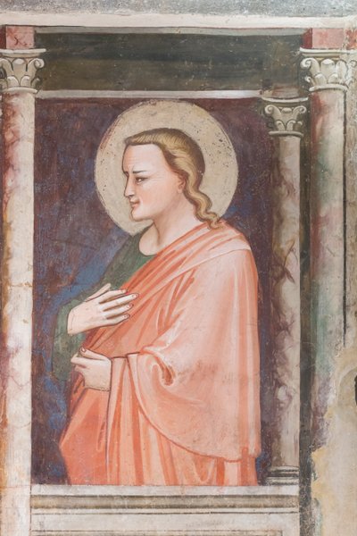 Tentoonstelling in de gewelven van het kathedraalmuseum van Prato, Italië door Unbekannter Künstler