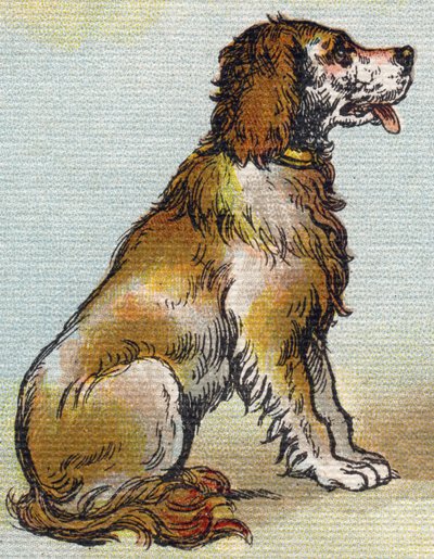 Hond door Unbekannt