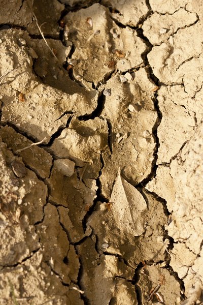 Droog (foto) door Unbekannter Künstler