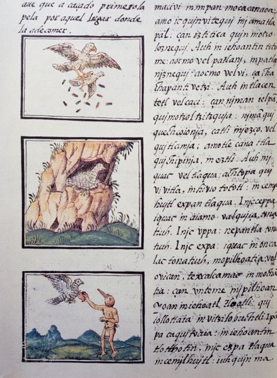 Adelaars, pagina uit de Florentijnse Codex, tweetalige versie in Spaans en Nahuatl, Algemene Geschiedenis van de Dingen van Nieuw-Spanje door William M. Timlin