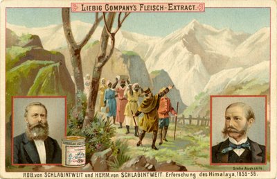 Verkenning van de Himalaya door Unbekannter Künstler