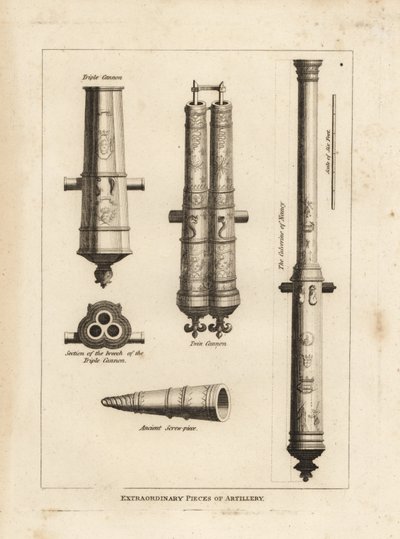 Buitengewone stukken artillerie: aanzicht en doorsnede van de culverine van Nancy, een drievoudig kanon, een tweelingkanon en een oude schroefstuk door Unbekannt