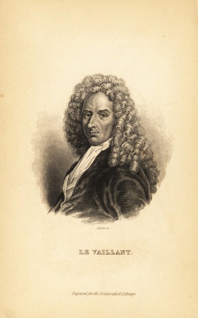Francois le Vaillant, Franse auteur, ontdekkingsreiziger, natuuronderzoeker en ornitholoog door Unbekannt