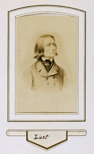 Franz Liszt als jongeman door Unbekannter Künstler