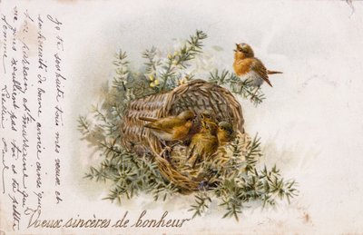 Franse wenskaart met roodborstje en nest elementen door Unbekannter Künstler