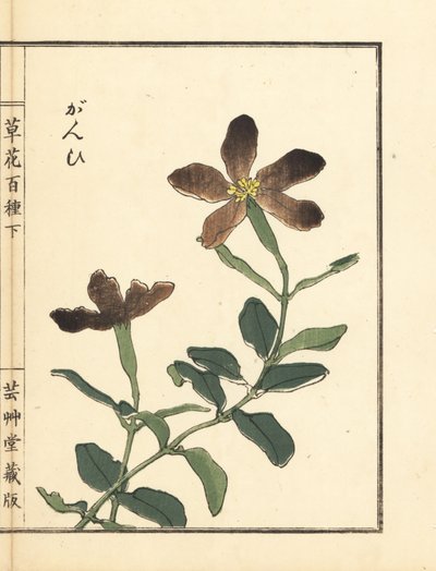 Ganpi of catchfly, Lychnis soort (silene) - Kusa Bana Hyakushu (Honderd variëteiten bloemen) door Unbekannter Künstler