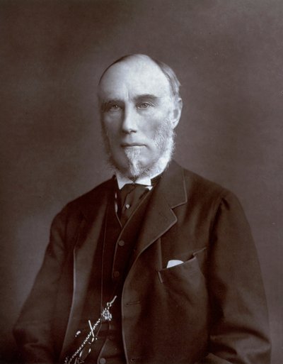 Halflang portret van de onderkoning van de Indiën Thomas Baring, graaf van Northbrook door Unbekannter Künstler