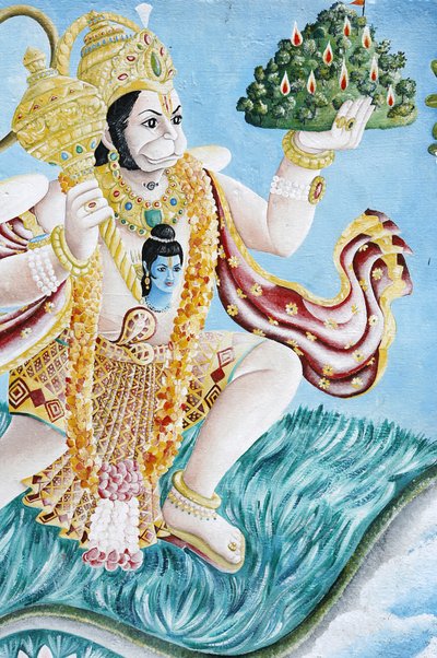 Hanuman apengod, Pashupatinah, Kathmandu, Nepal door Unbekannt