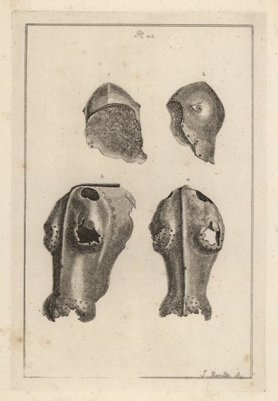Helm 1,2, en ijzeren chanfron of chafron 3,4 die toebehoorden aan Guy, Graaf van Warwick door Unbekannt