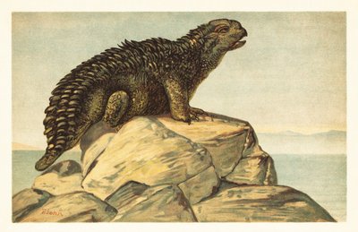 Hylaeosaurus armatus, uitgestorven herbivore ankylosaurische dinosaurus, 1908 door Unbekannter Künstler